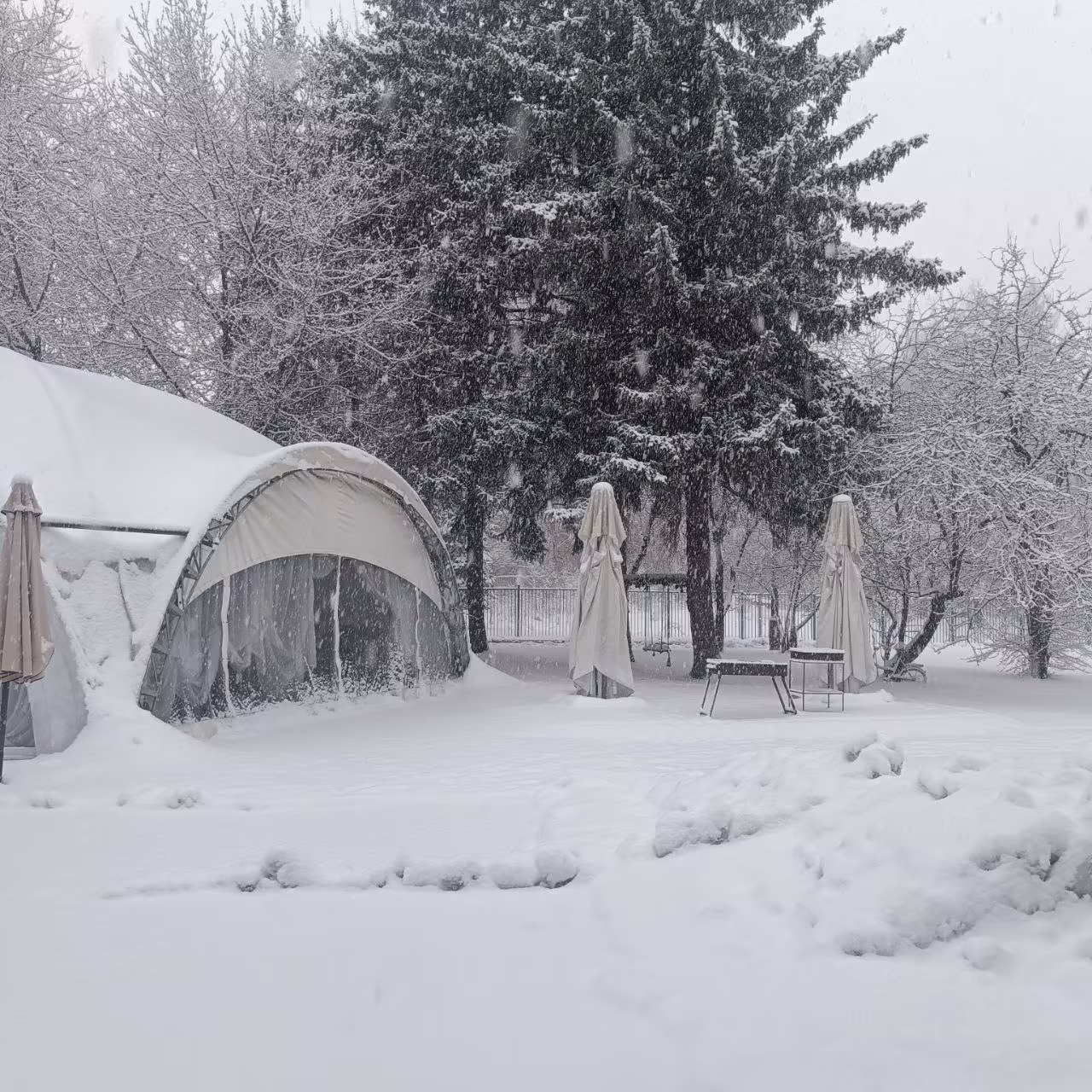 Кафе Дом Учёных Вид с улицы